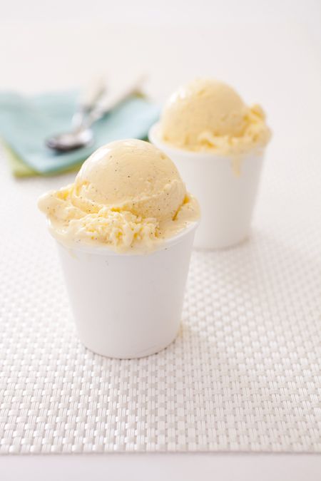 America S Test Kitchen Best Vanilla Ice Cream America S Test Kitchen Best Vanilla Ice Cream
